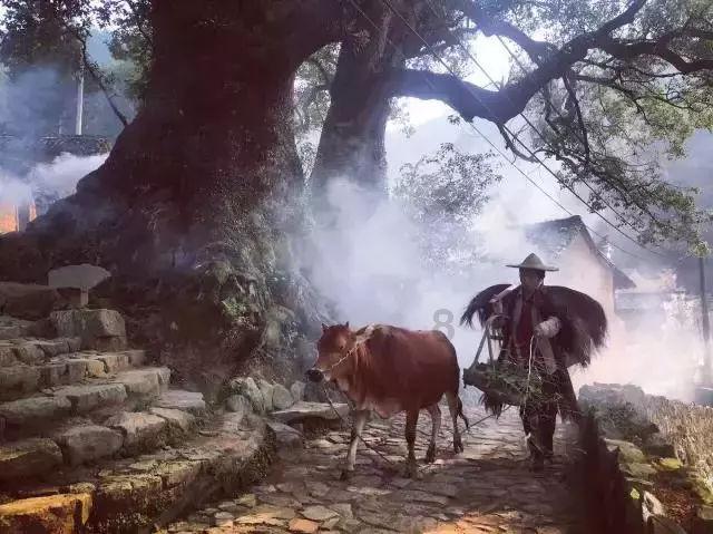 波斯王子2