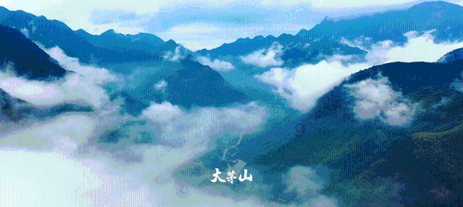 小猫钓鱼正版下载中文版
