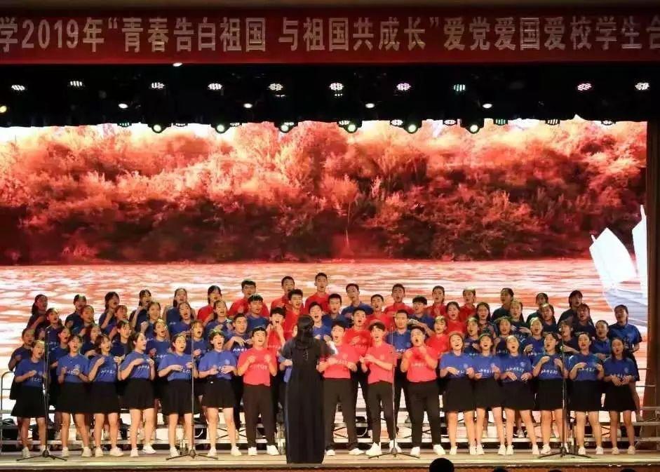 解救金刚鹦鹉