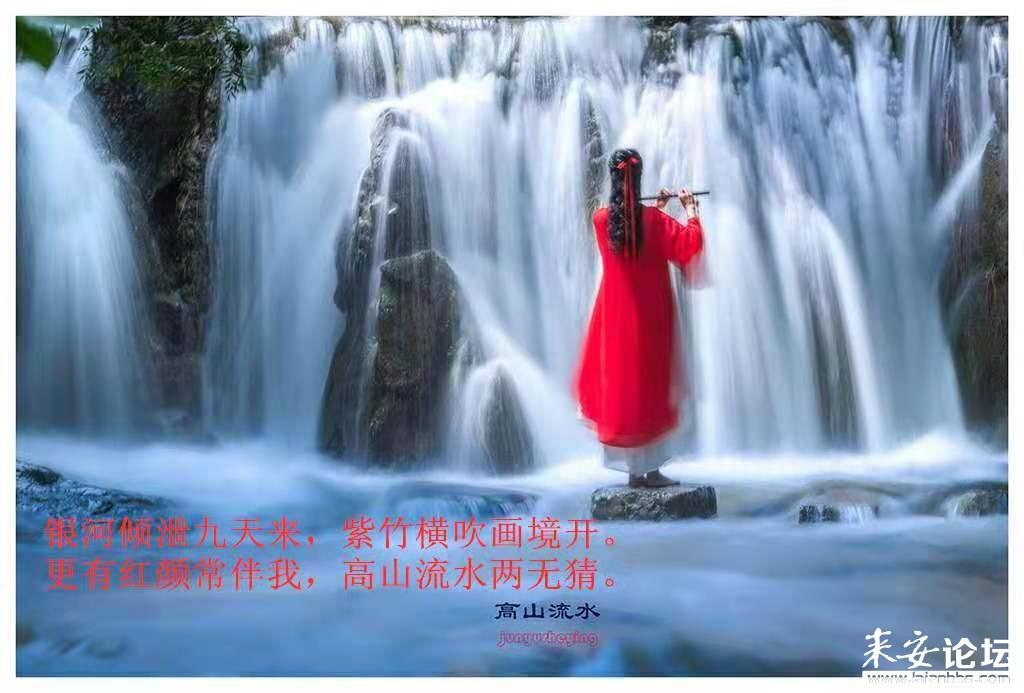 探讨天涯,畅享华为手机打不出去电话怎么回事问答交流平台